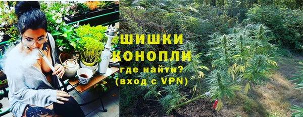 дмт Лиски