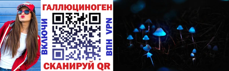 гидра зеркало  Вольск  Псилоцибиновые грибы Psilocybe 