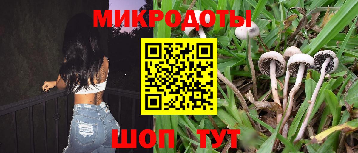 Псилоцибиновые грибы мицелий Вольск