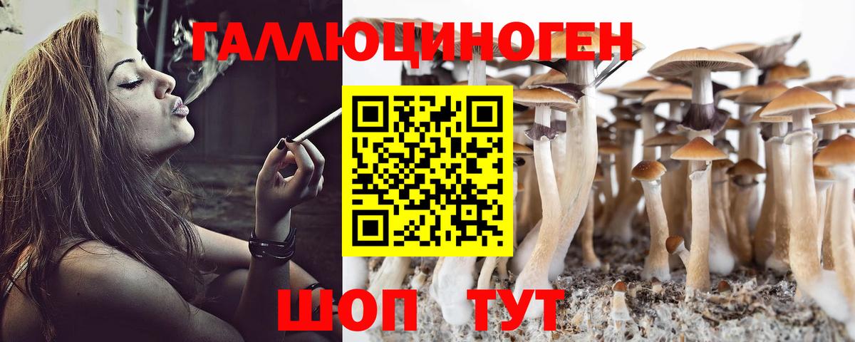 Вольск  Галлюциногенные грибы GOLDEN TEACHER  Вход с VPN  Галлюциногенные грибы Cubensis 